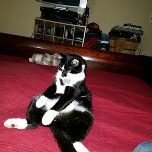 Meet your Posher, Sharon